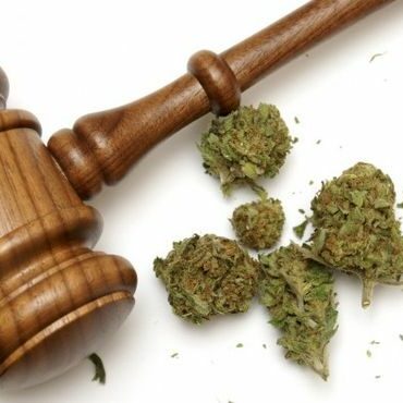 Drug Charges Defense Attorney Tampa St Petersburg